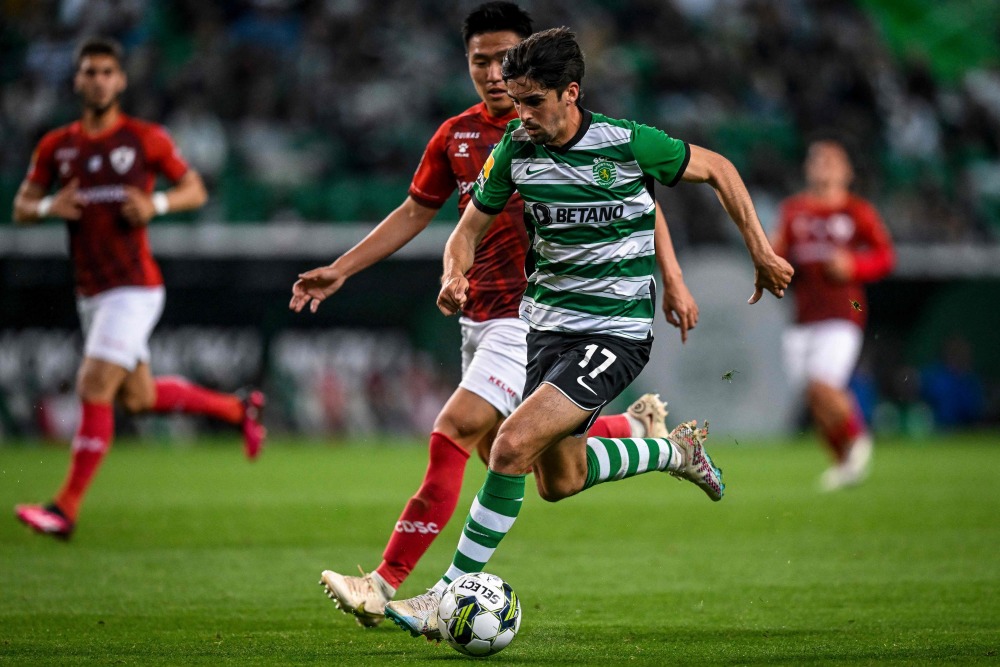 Kaiyun-转折点！葡萄牙体育门线救险，葡超关键时刻攻防权衡，态度坚定，高层口径保持一致的简单介绍